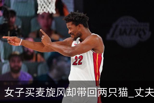 女子买麦旋风却带回两只猫 丈夫或不再带她去麦当劳